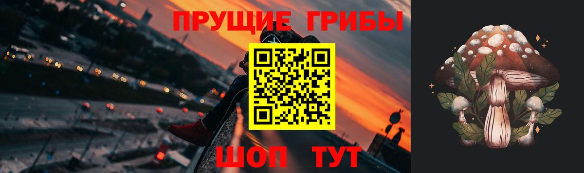 Галлюциногенные грибы мухоморы  Вход с VPN  Солнечногорск  Псилоцибиновые грибы GOLDEN TEACHER 